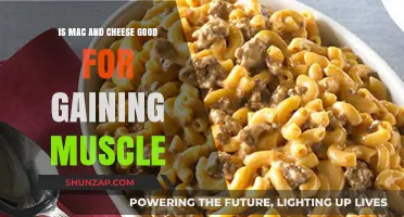 Mac and Cheese for Muscle Gain: A Nutritional Breakdown