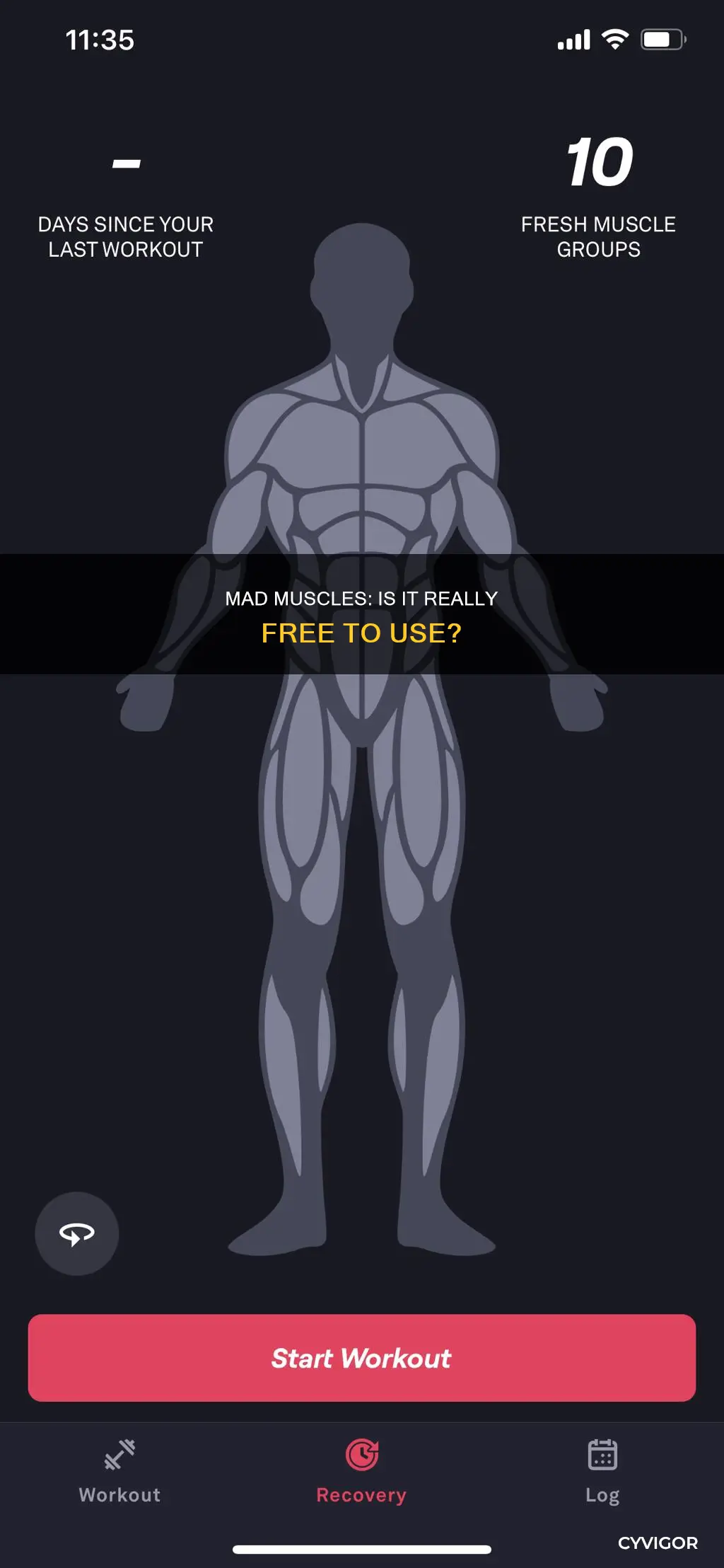 is mad muscles free