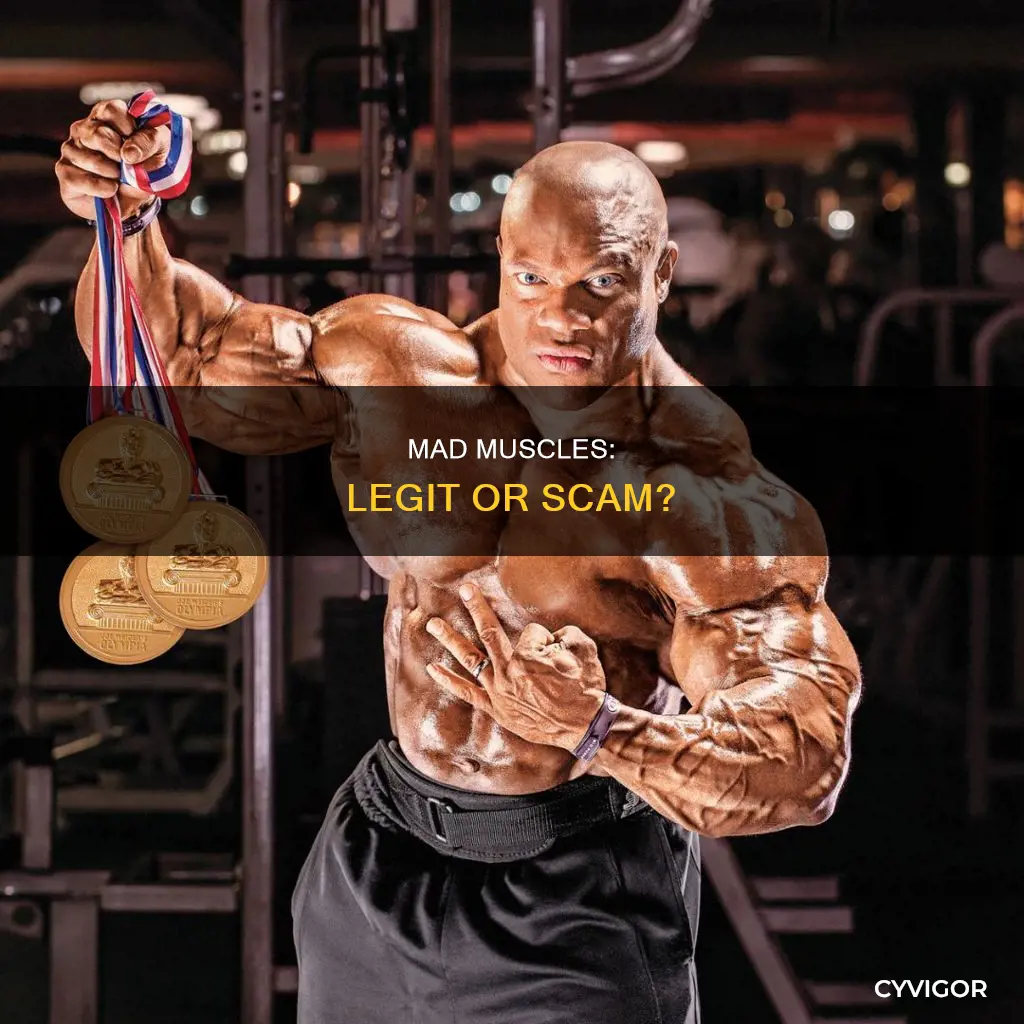 is mad muscles legit reviews