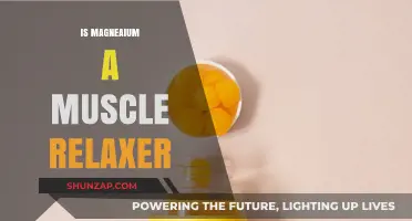 Magnesium's Muscle Relaxation Benefits: Fact or Fiction?