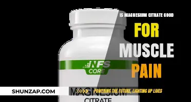 Magnesium Citrate Benefits: Easing Muscle Pain and Enhancing Recovery