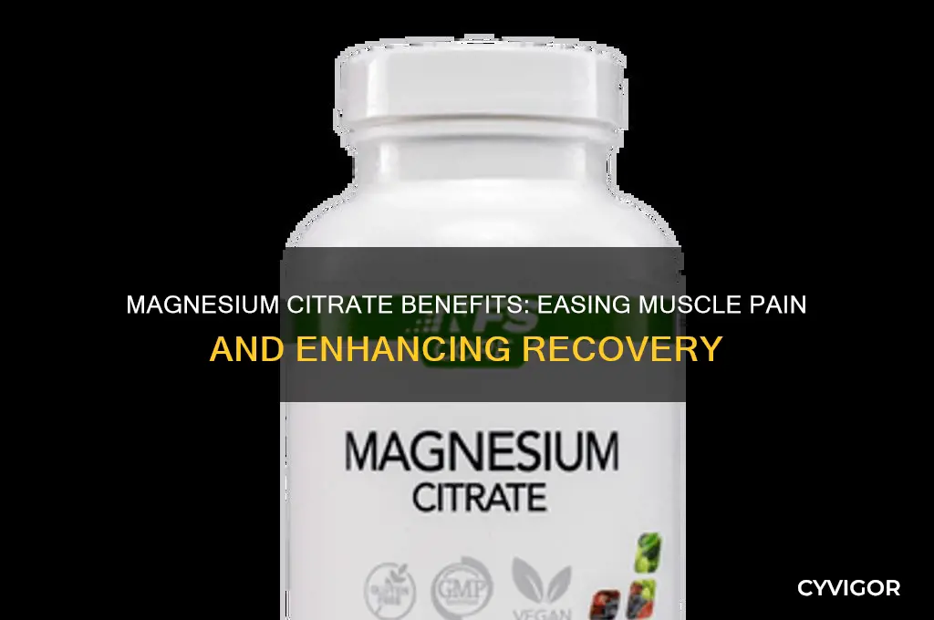 is magnesium citrate good for muscle pain