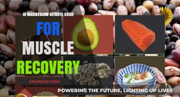 Magnesium Citrate Benefits: Enhancing Muscle Recovery After Intense Workouts