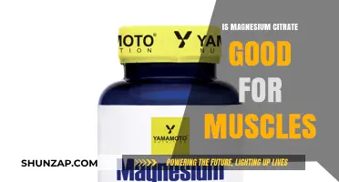 Magnesium Citrate Benefits: Enhancing Muscle Function and Recovery