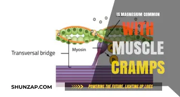 Magnesium Deficiency: A Common Culprit Behind Muscle Cramps