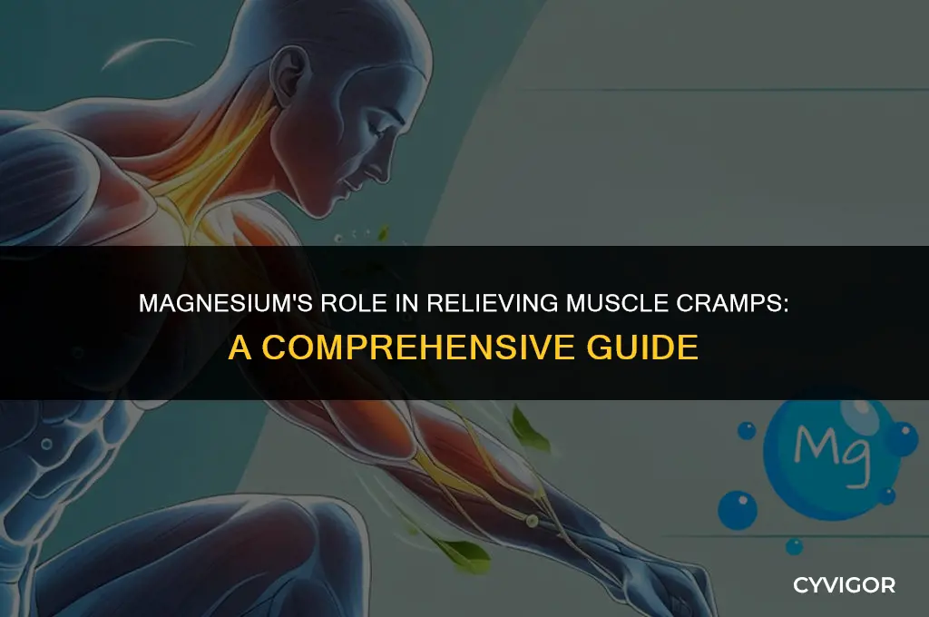 is magnesium for muscle cramps