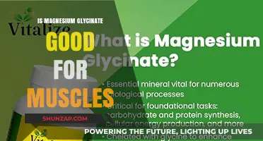 Magnesium Glycinate Benefits: Enhancing Muscle Recovery and Performance