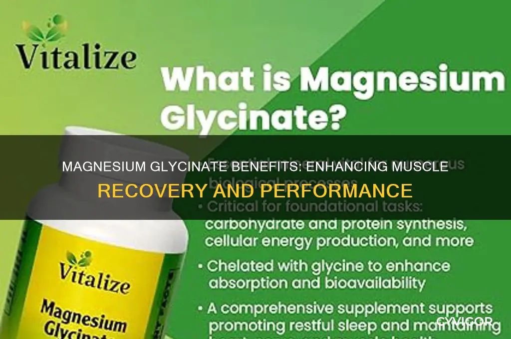 is magnesium glycinate good for muscles