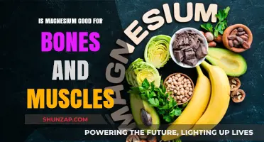 Magnesium's Role in Strengthening Bones and Enhancing Muscle Function