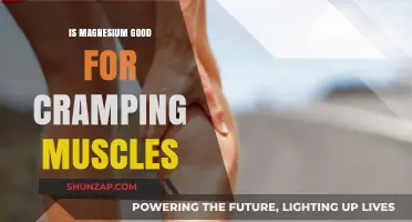 Magnesium for Muscle Cramps: Benefits, Dosage, and Effectiveness Explained