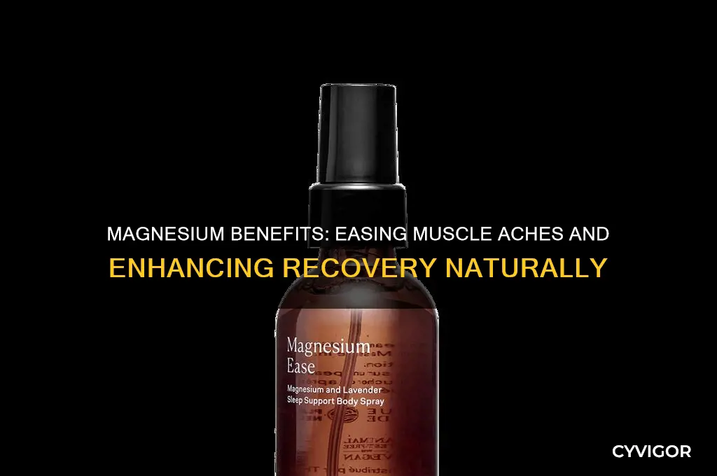 is magnesium good for muscle aches