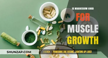 Magnesium's Role in Muscle Growth: Benefits and Science Explained