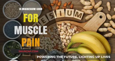 Magnesium's Role in Relieving Muscle Pain: Benefits and Evidence