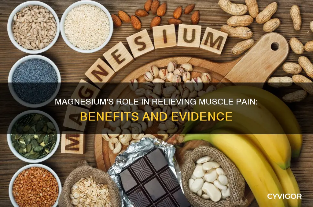 is magnesium good for muscle pain