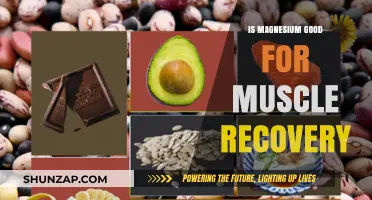 Magnesium's Role in Enhancing Muscle Recovery: Benefits and Evidence