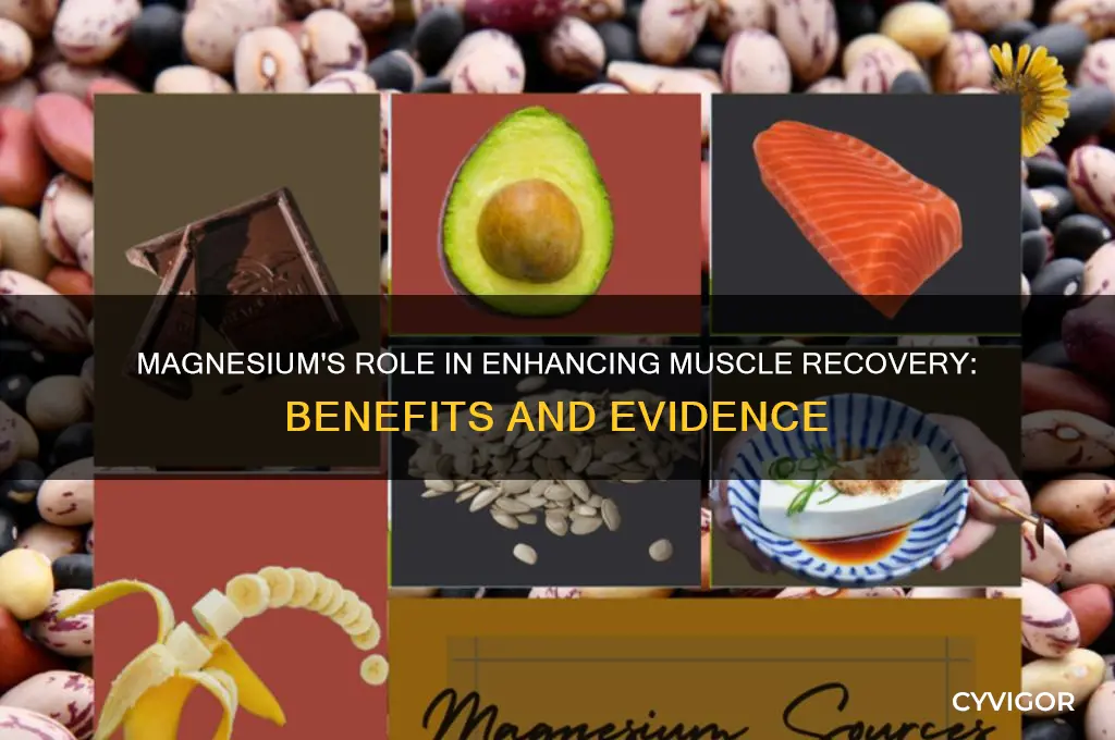 is magnesium good for muscle recovery