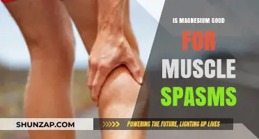 Magnesium's Role in Relieving Muscle Spasms: Benefits and Evidence