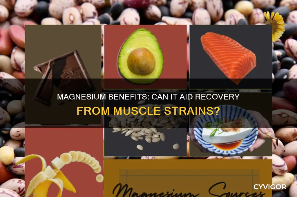is magnesium good for muscle strains