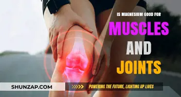 Magnesium Benefits: Enhancing Muscle Function and Joint Health Naturally