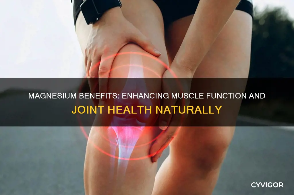 is magnesium good for muscles and joints