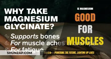 Magnesium's Muscle Benefits: Strength, Recovery, and Performance Explained