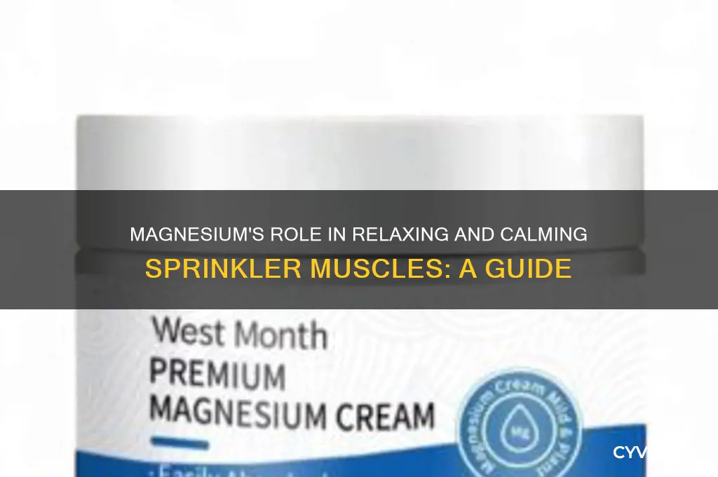 is magnesium good to calm sprincter muscle