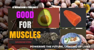 Magnesium L-Threonate Benefits: Enhancing Muscle Health and Recovery