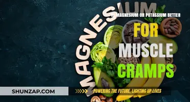 Magnesium vs. Potassium: The Ultimate Guide to Relieving Muscle Cramps