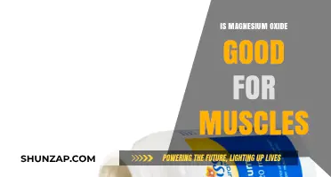 Magnesium Oxide Benefits: Enhancing Muscle Health and Recovery Naturally