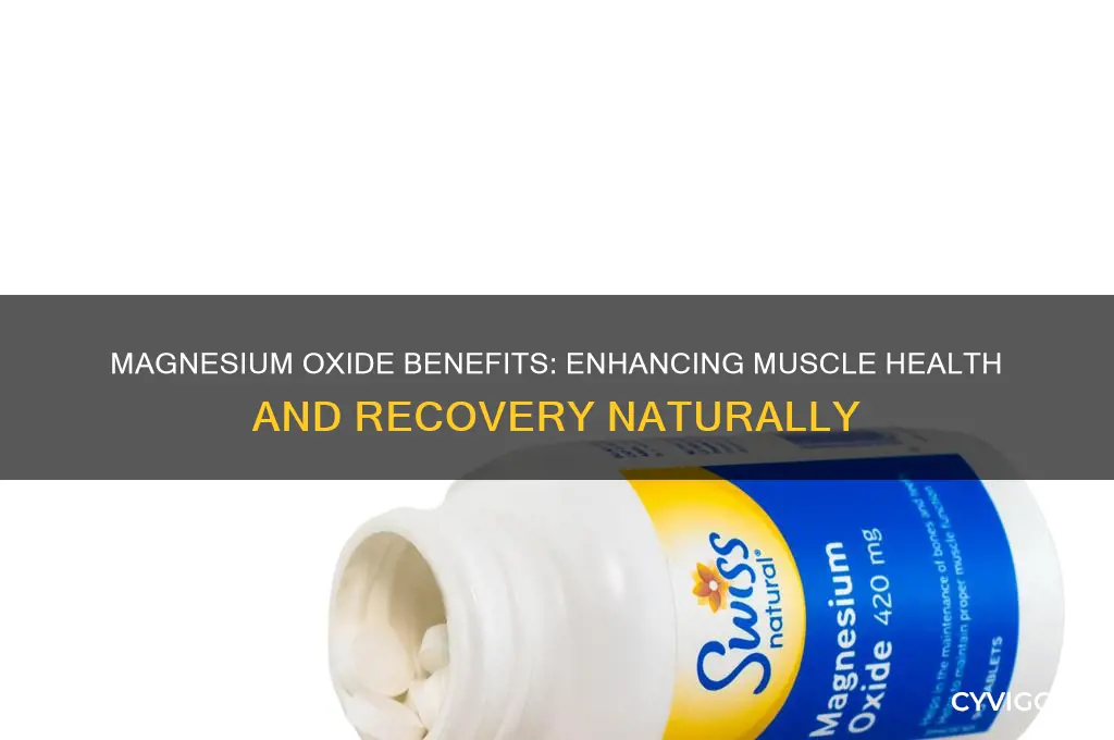 is magnesium oxide good for muscles
