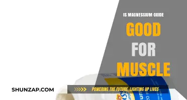 Magnesium Oxide Benefits: Does It Support Muscle Health and Recovery?