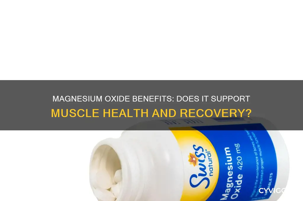 is magnessium oxide good for muscle