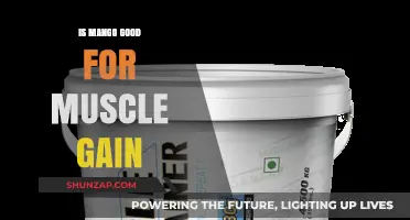 Mango's Role in Muscle Gain: A Nutritional Powerhouse for Fitness