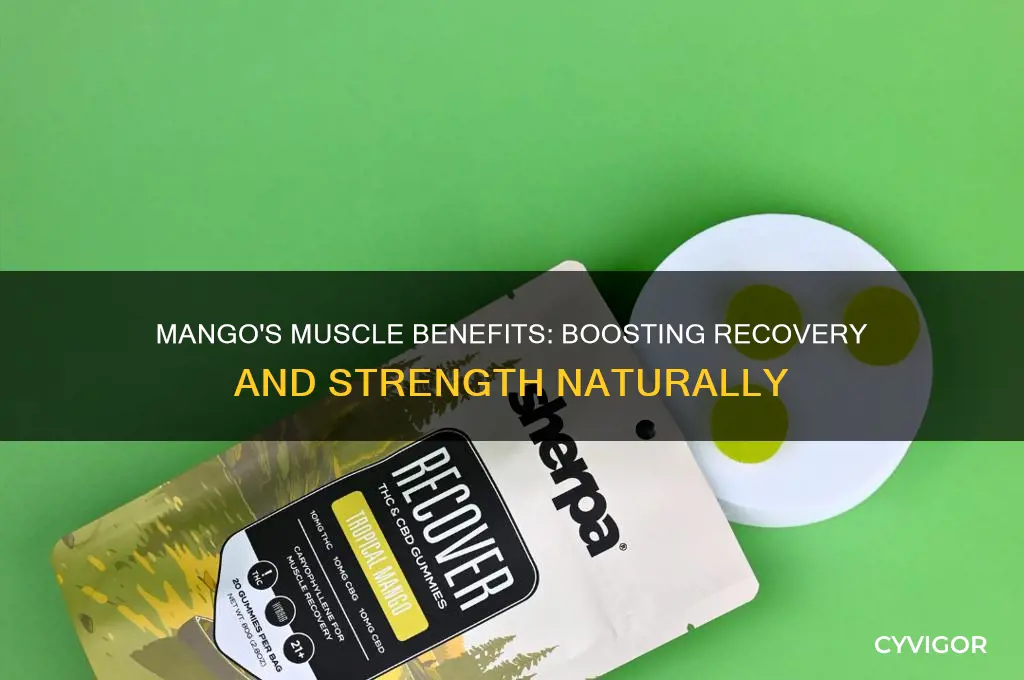 is mango good for muscle