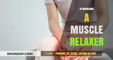 Marijuana as a Muscle Relaxer: Fact or Fiction?