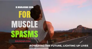 Marijuana for Muscle Spasms: Benefits, Risks, and Research Insights