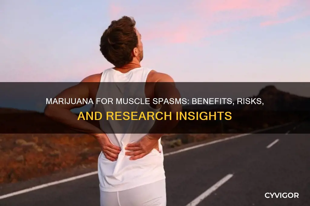 is marijuana good for muscle spasms