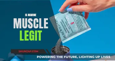 Marine Muscle: Legit or a Scam?