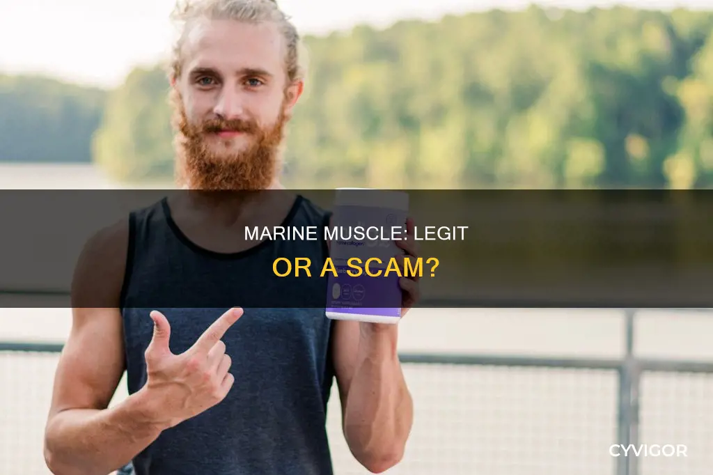 is marine muscle legit