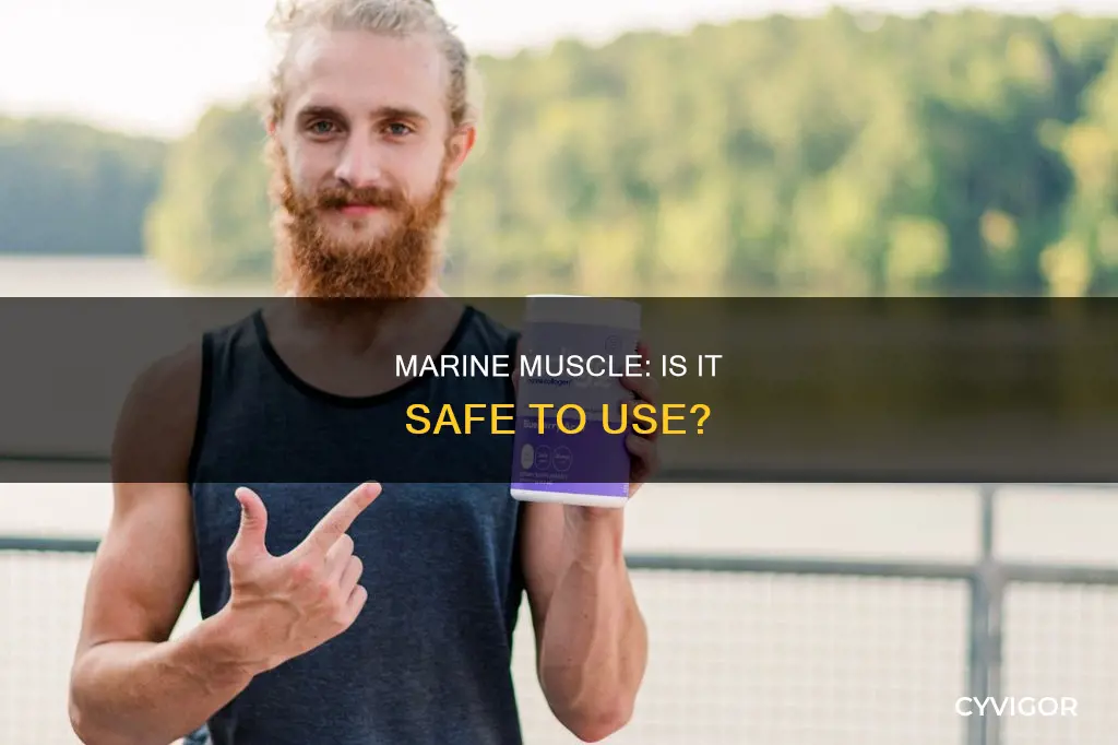 is marine muscle safe
