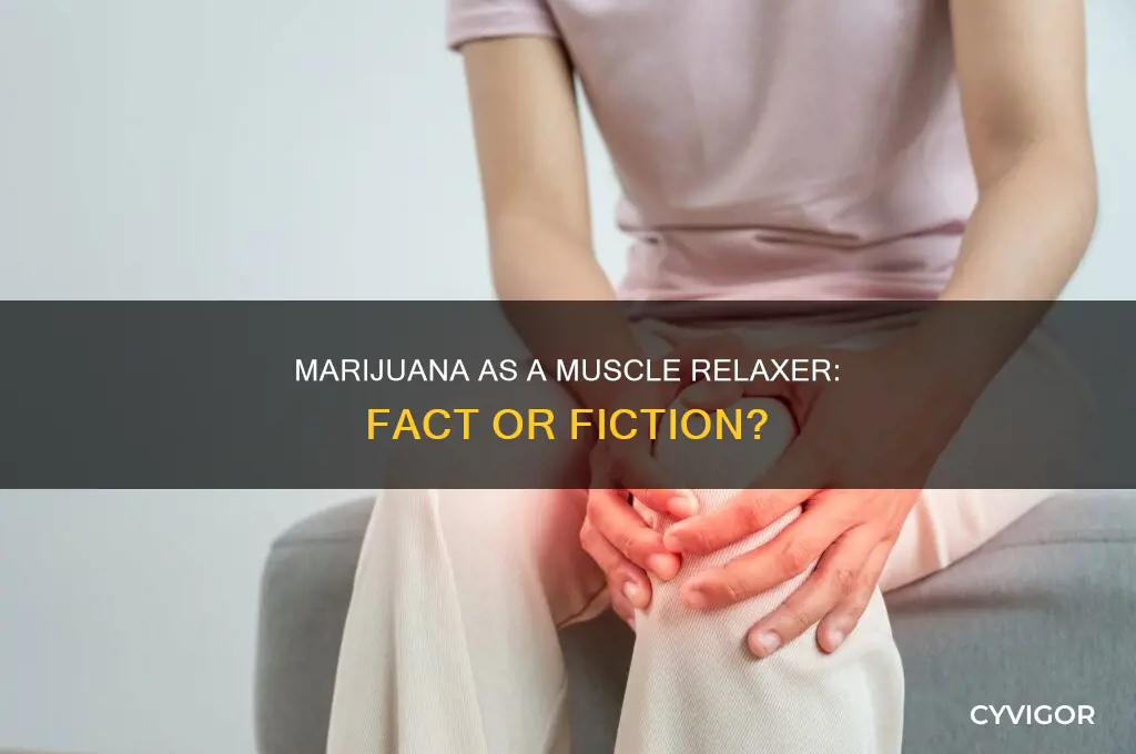 is marjuana a muscle relaxer