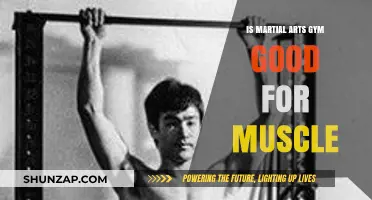 Martial Arts Gyms: Effective for Muscle Building and Strength?