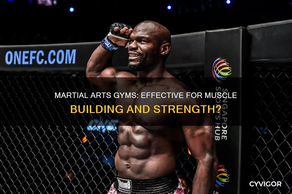 is martial arts gym good for muscle