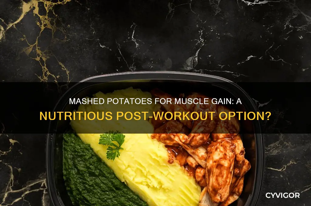 is mashed potato good for muscle gain