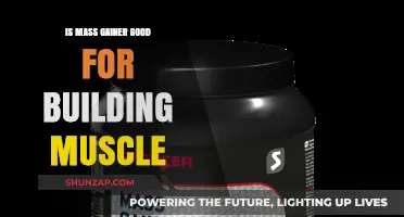 Is Mass Gainer Effective for Muscle Building? A Comprehensive Guide
