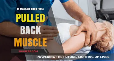 Pulled Back Muscle Relief: Can Massage Therapy Help Heal?