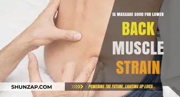 Massage Therapy Benefits for Lower Back Muscle Strain Relief