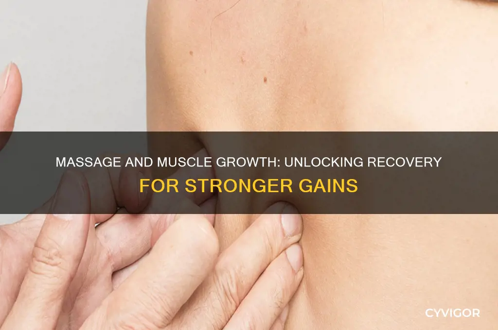 is massage good for muscle growth