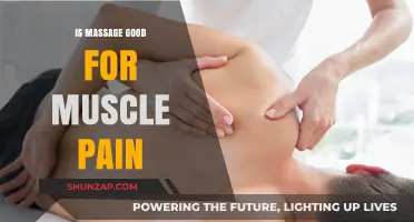 Massage Therapy: Effective Relief for Muscle Pain and Recovery?