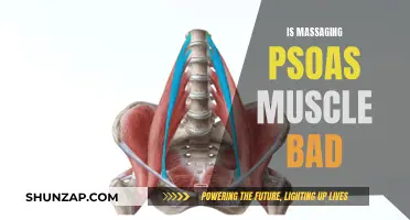 The Psoas Muscle: Is Massage Therapy Helpful or Harmful?